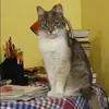 Отзыв от Элла Пирогова